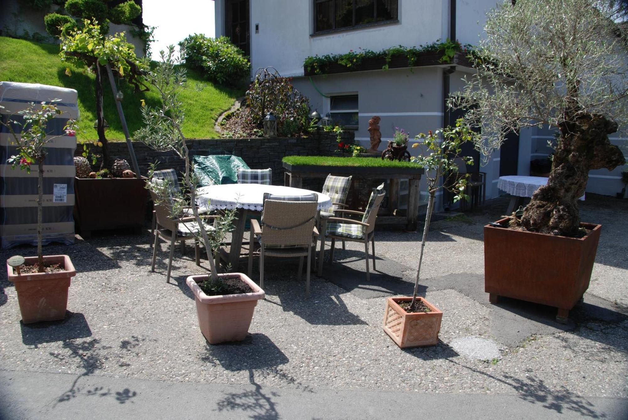 Naturpark-.Weinbergferienhaus คิทเซค อิม เซาซาล ภายนอก รูปภาพ