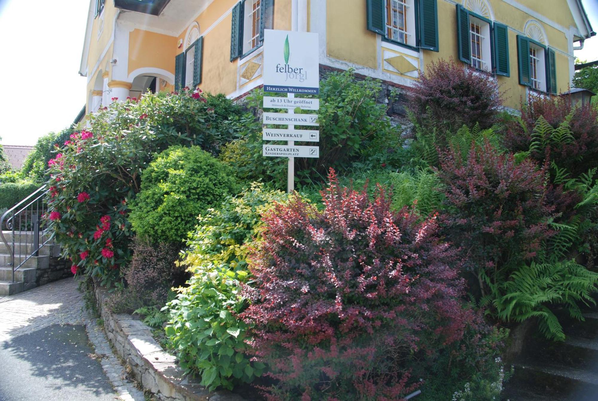 Naturpark-.Weinbergferienhaus คิทเซค อิม เซาซาล ภายนอก รูปภาพ