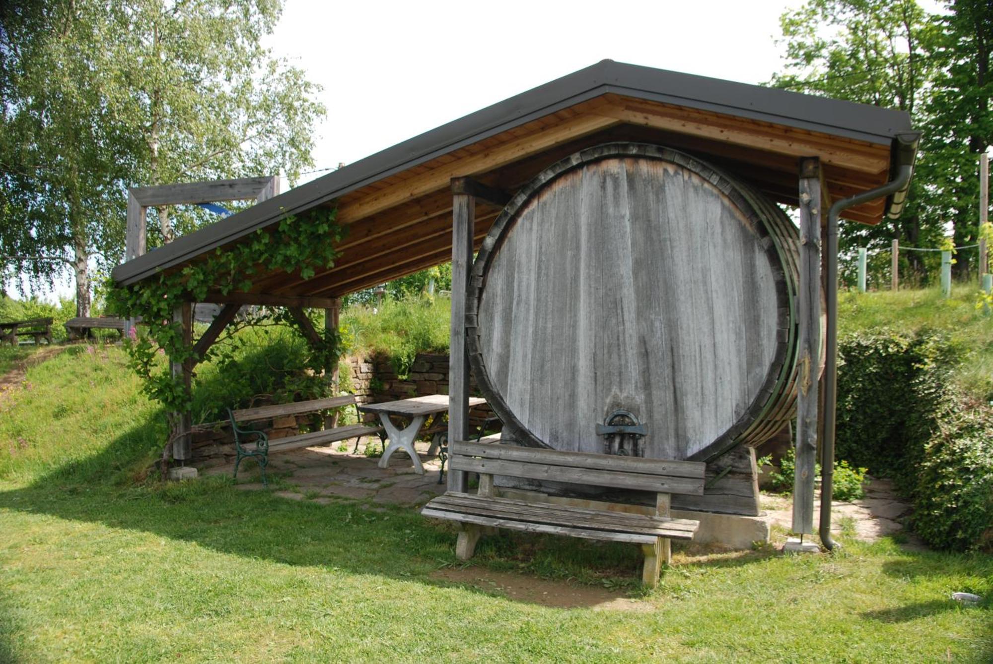 Naturpark-.Weinbergferienhaus คิทเซค อิม เซาซาล ภายนอก รูปภาพ