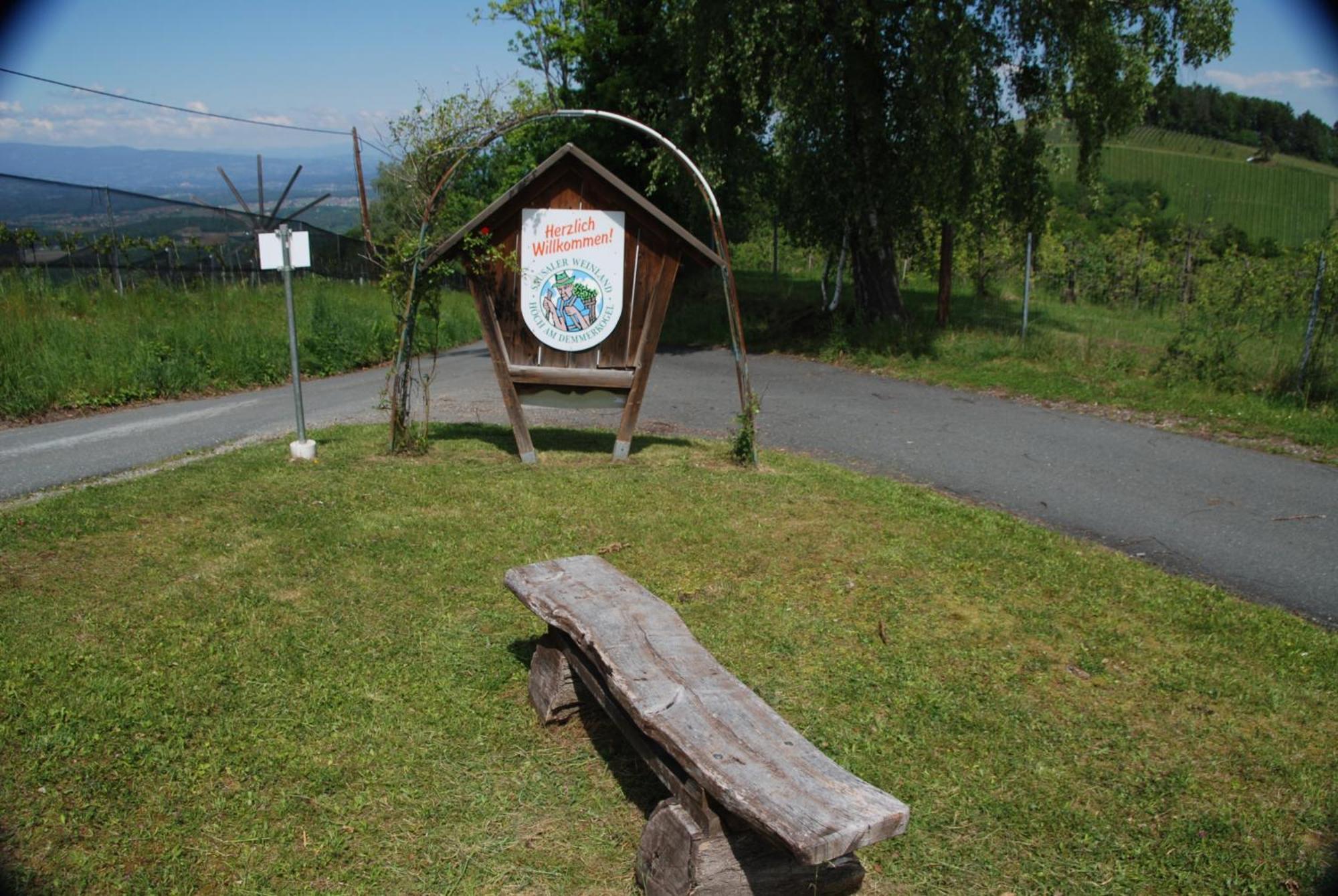Naturpark-.Weinbergferienhaus คิทเซค อิม เซาซาล ภายนอก รูปภาพ
