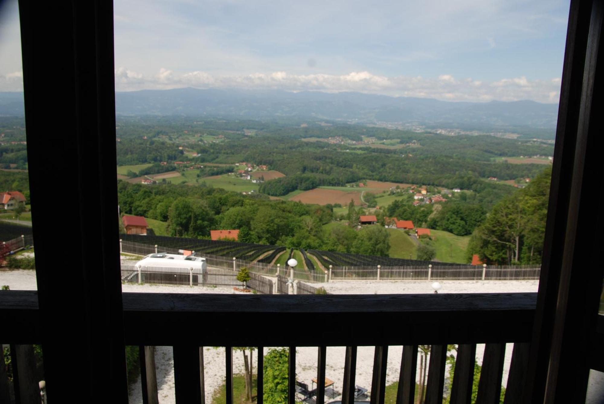 Naturpark-.Weinbergferienhaus คิทเซค อิม เซาซาล ภายนอก รูปภาพ